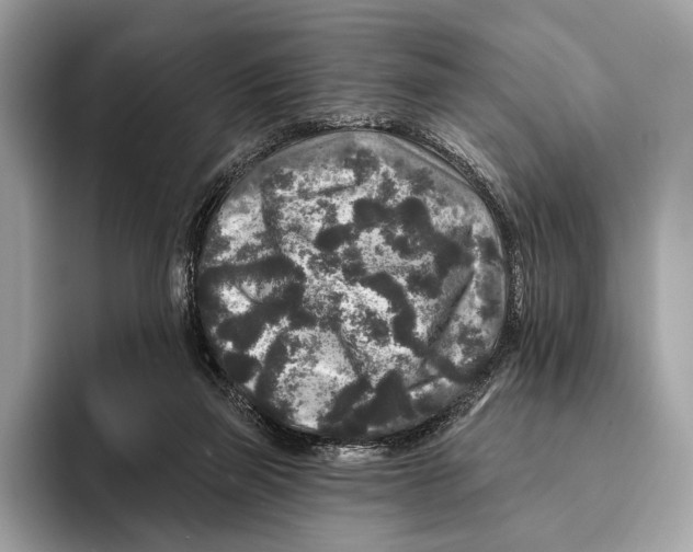 X0000095530165200801111420