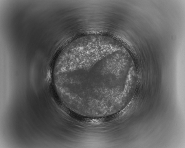 X0000095530166200801111420