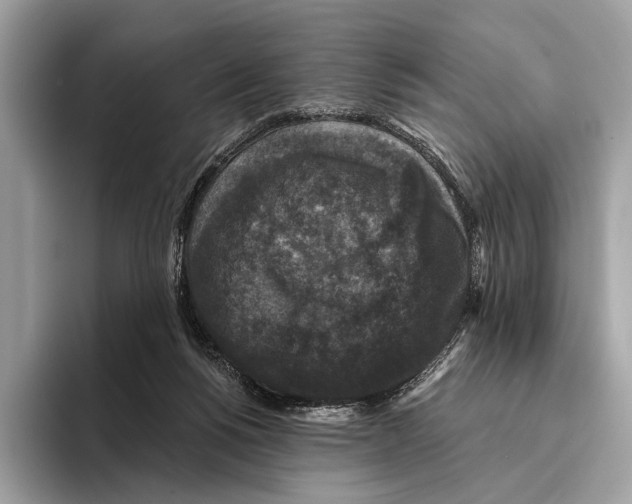 X0000095530168200801111420