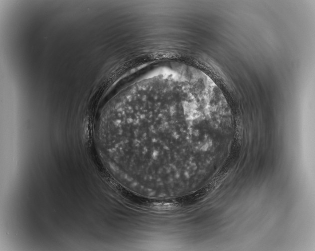 X0000095530169200801111420