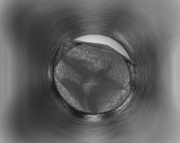 X0000095530170200801111420