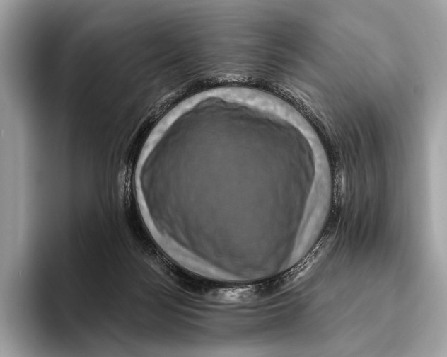 X0000095530172200801111420