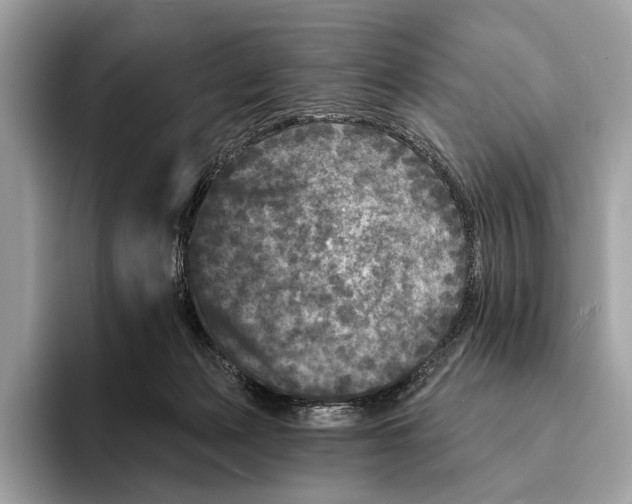 X0000095530173200801111420