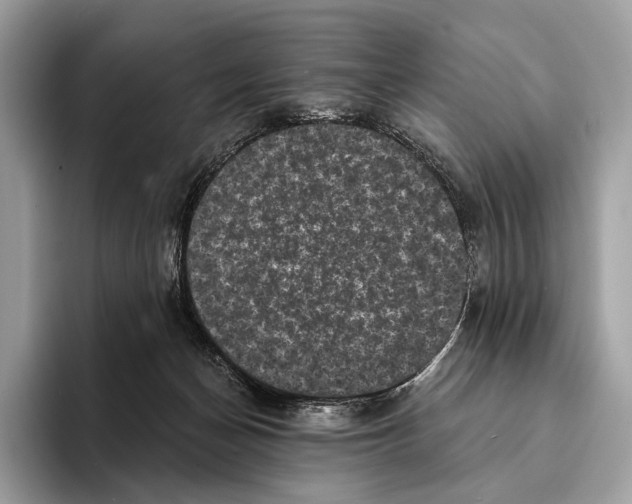 X0000095530174200801111420