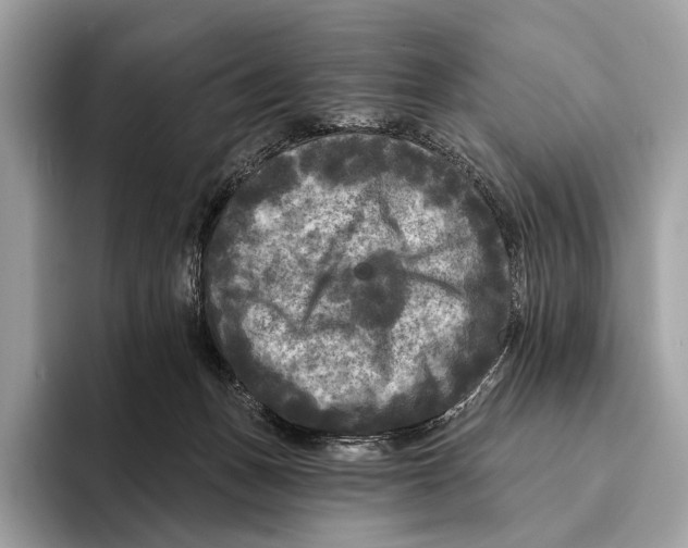 X0000095530175200801111420