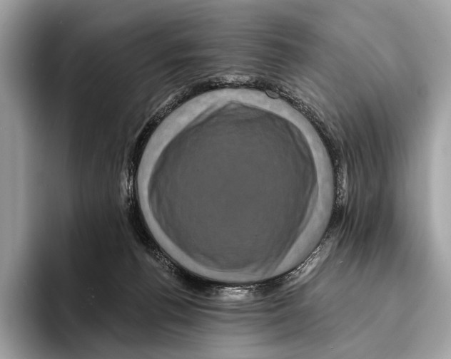 X0000095530176200801111420