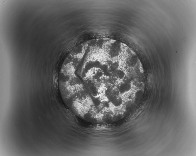 X0000095530177200801111420