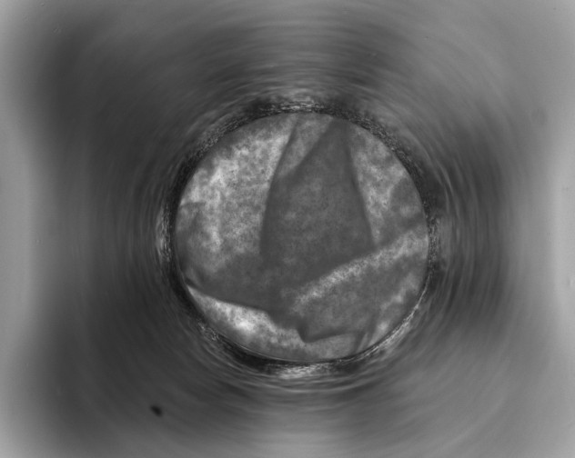 X0000095530178200801111420