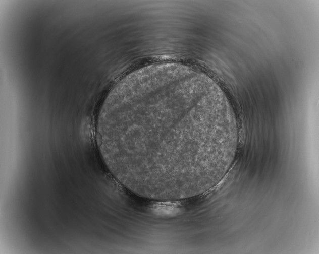 X0000095530179200801111420