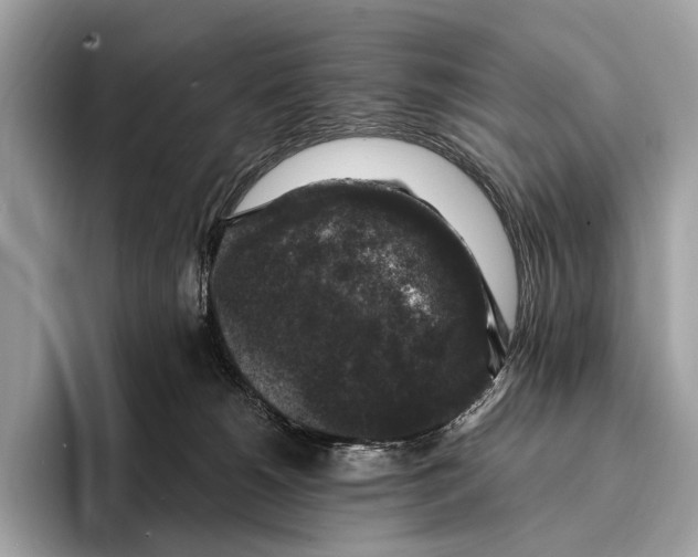 X0000095530180200801111420