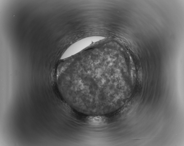 X0000095530181200801111420