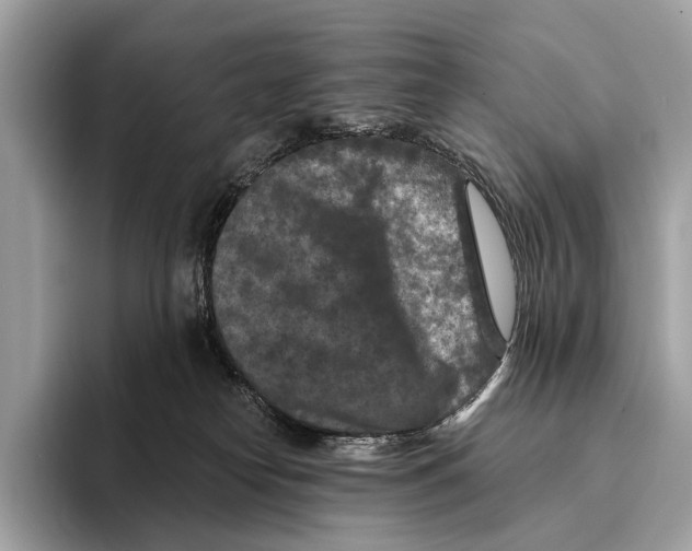 X0000095530182200801111420