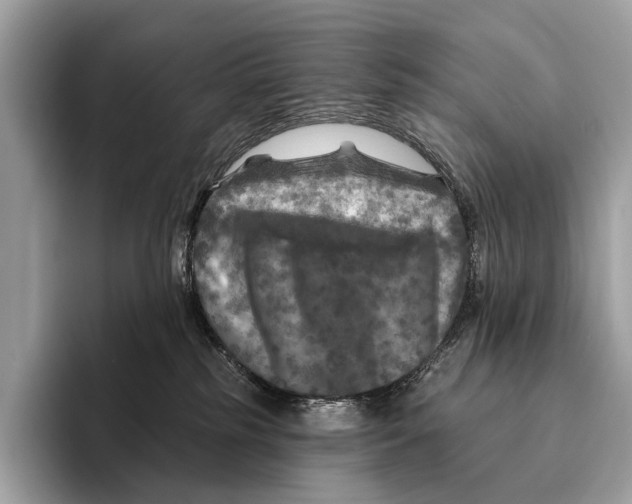 X0000095530185200801111420