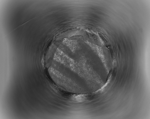 X0000095530186200801111420