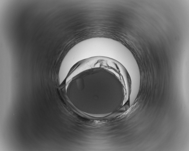 X0000095530188200801111420