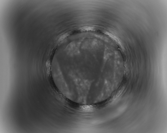 X0000095530189200801111420