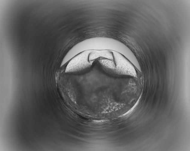 X0000095530190200801111420