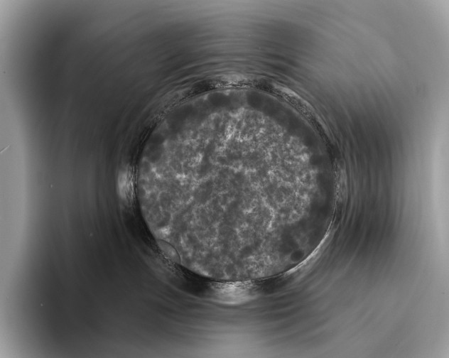 X0000095530191200801111420