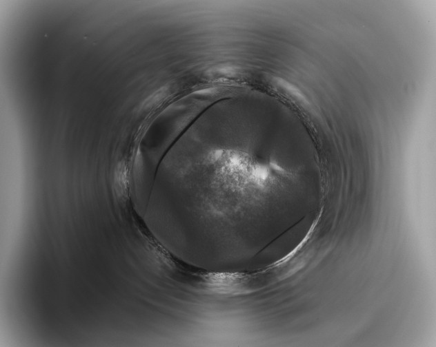 X0000095530192200801111420