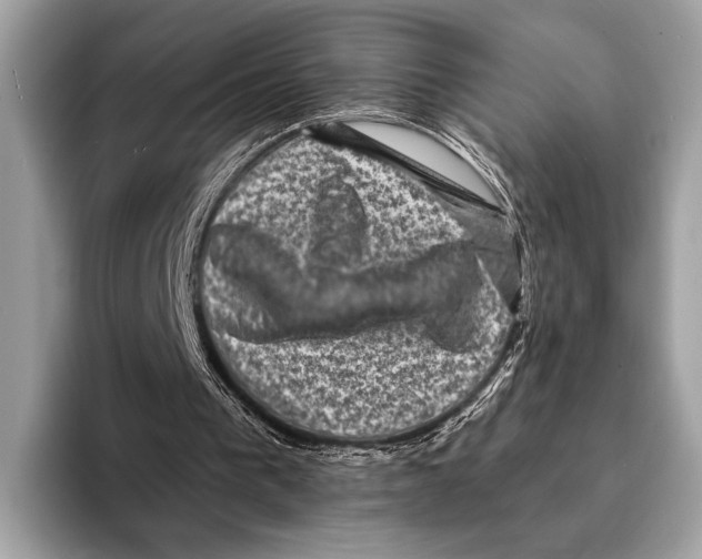 X0000095530193200801111420