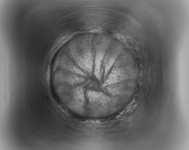 X0000095530194200801111420