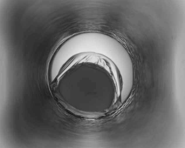 X0000095530195200801111420