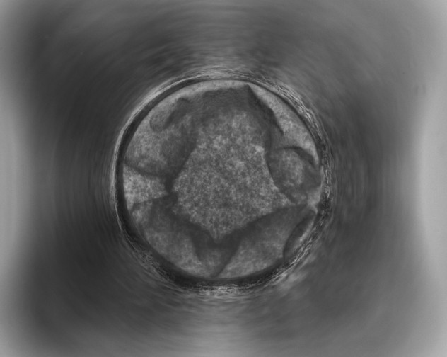 X0000095530196200801111420