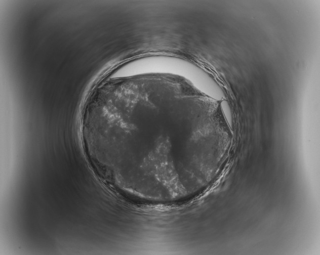 X0000095530197200801111420