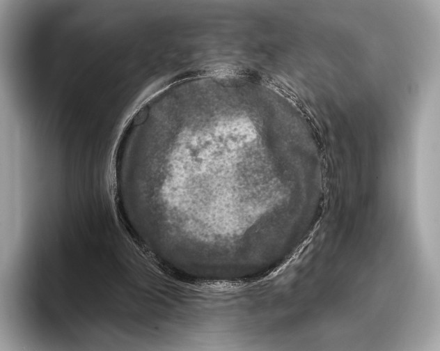 X0000095530198200801111420