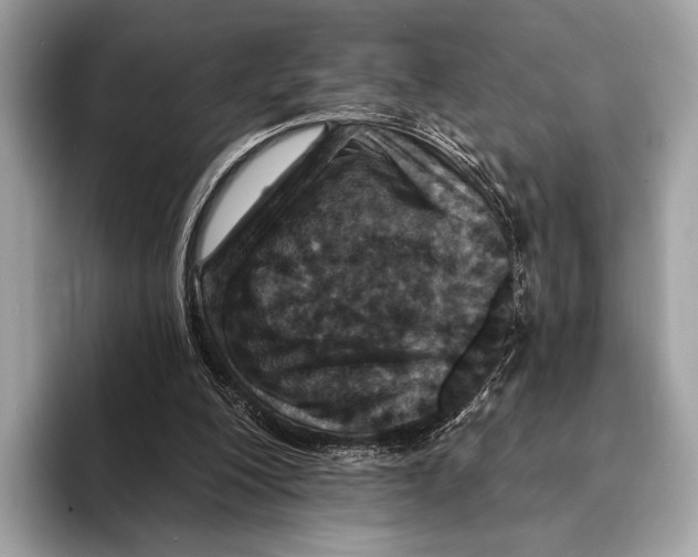 X0000095530200200801111420