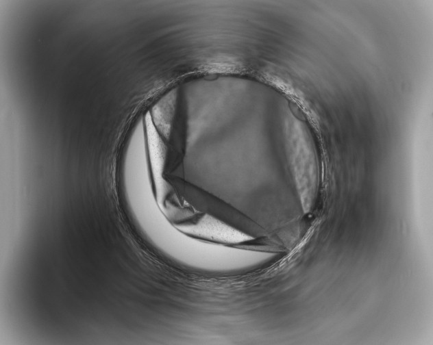 X0000095530201200801111420