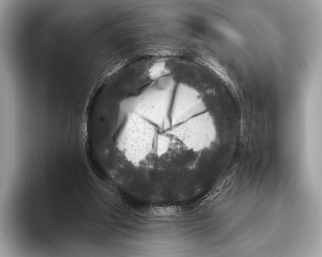 X0000095530202200801111420