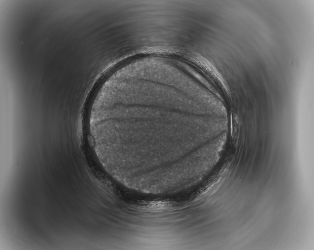 X0000095530204200801111420