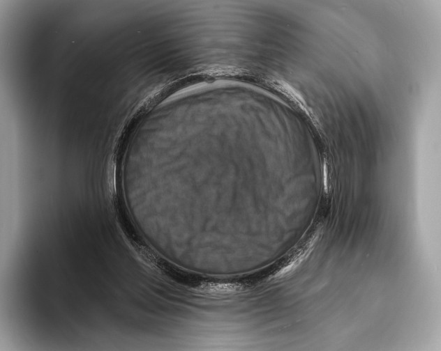 X0000095530205200801111420