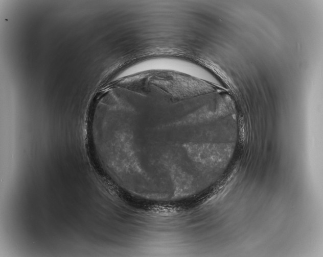 X0000095530207200801111420