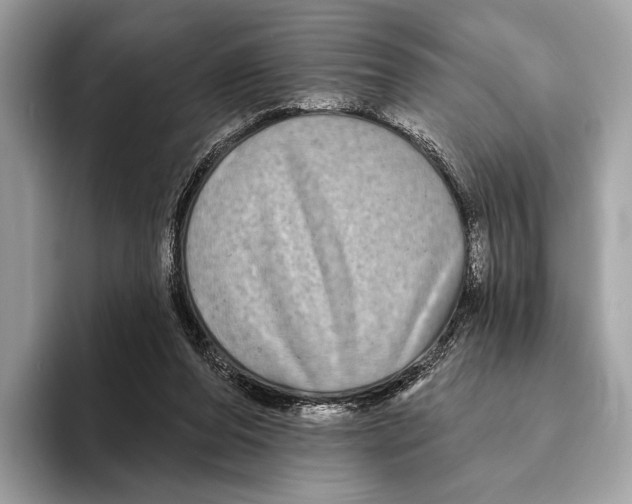 X0000095530208200801111420