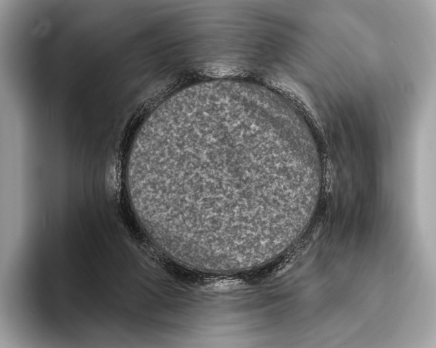 X0000095530210200801111420