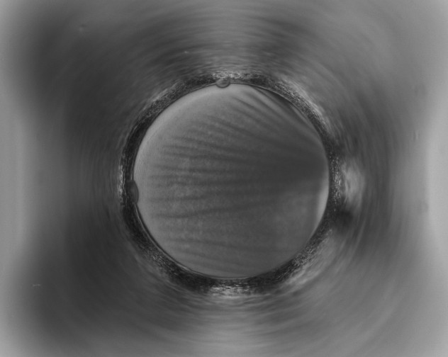 X0000095530211200801111420