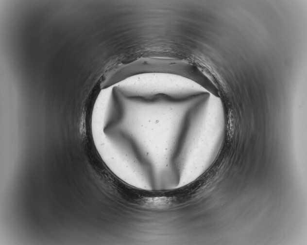 X0000095530212200801111420