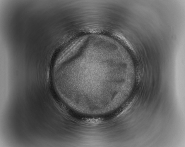 X0000095530213200801111420