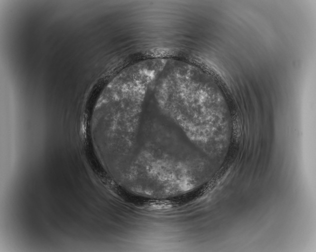 X0000095530214200801111420