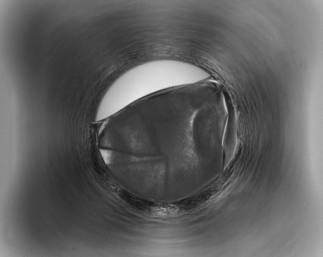 X0000095530215200801111420