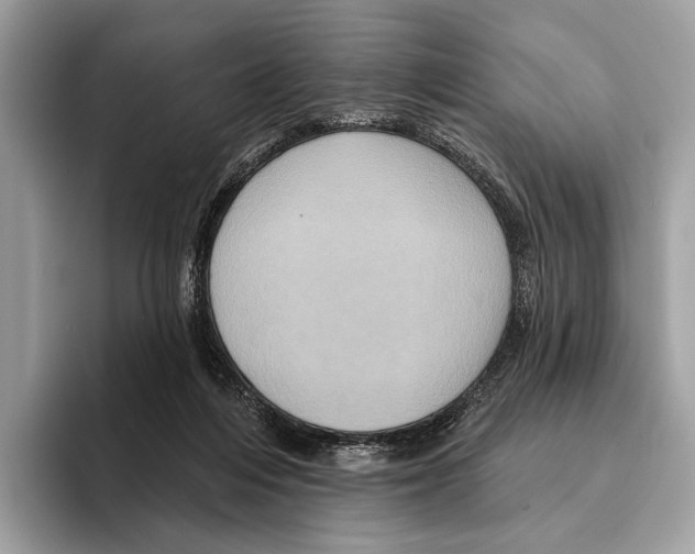 X0000095530216200801111420