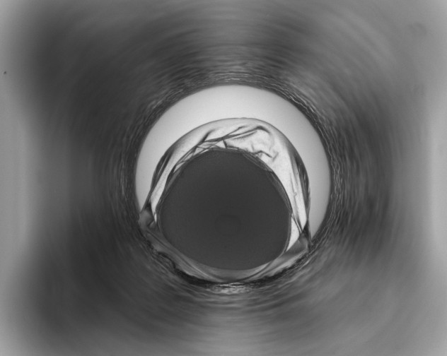 X0000095530219200801111419