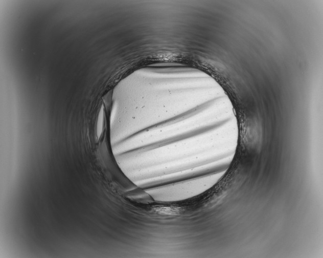 X0000095530221200801111419