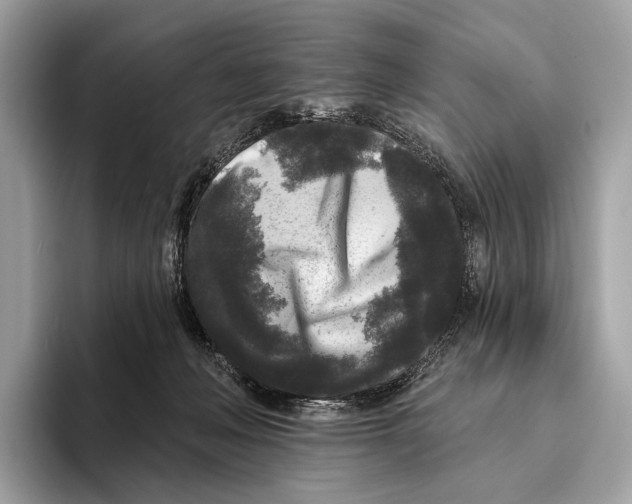 X0000095530222200801111419