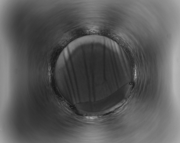 X0000095530223200801111419