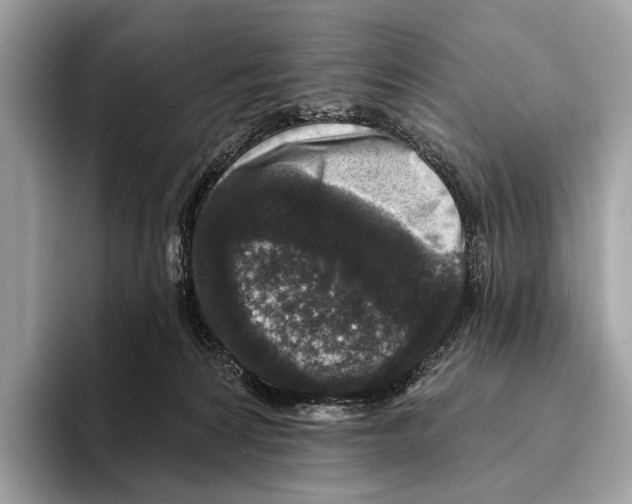 X0000095530224200801111419