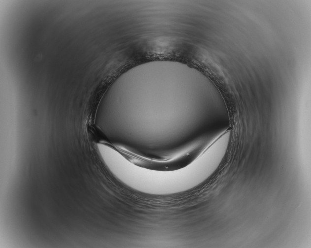 X0000095530225200801111419