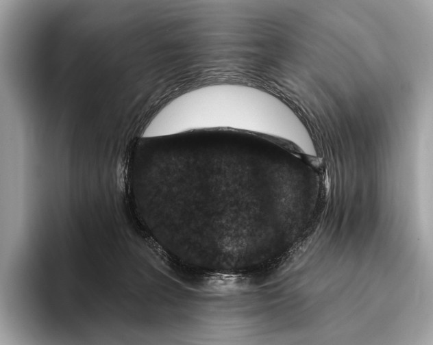 X0000095530227200801111419